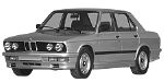 BMW E28 P1C8C Fault Code