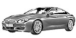 BMW F06 P1C8C Fault Code